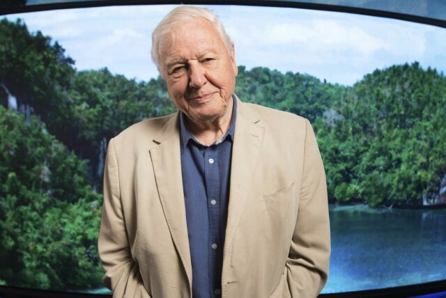 David Parry / BBC hovedbilde