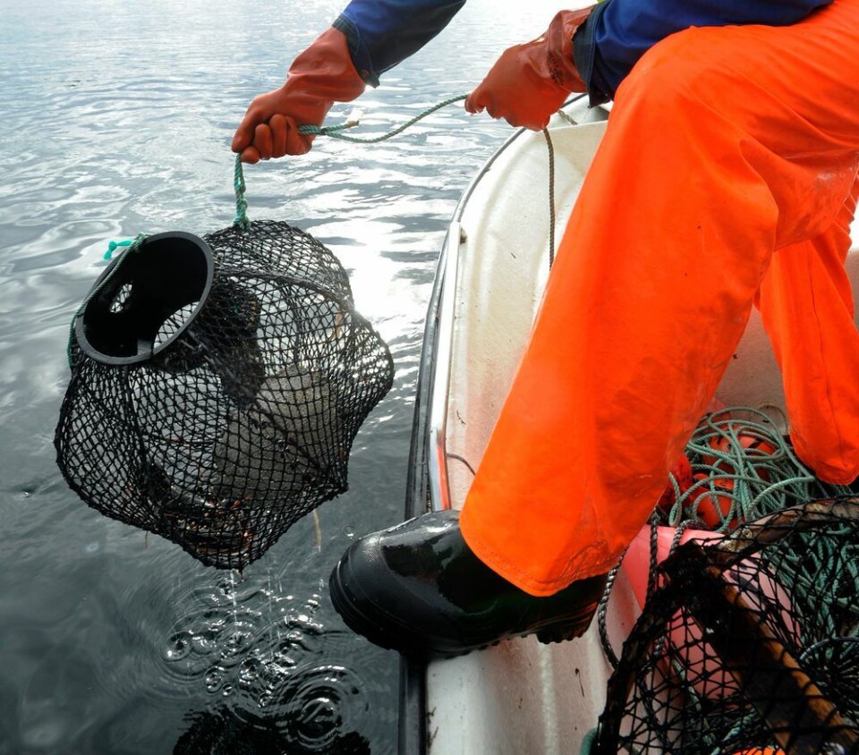 Redskap skal røktes minst én gang i uka, ifølge en ny regel som gjelder fra 1. juni 2020. Foto: Marit Hommedal / NTB scanpix. Redskap skal røktes minst én gang i uka, ifølge en ny regel som gjelder fra 1. juni 2020.