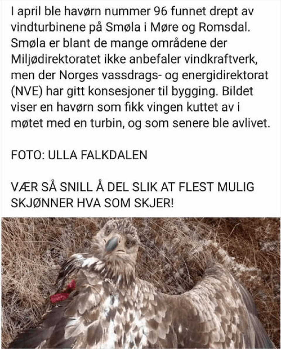 Skjermbilde fra Facebook.