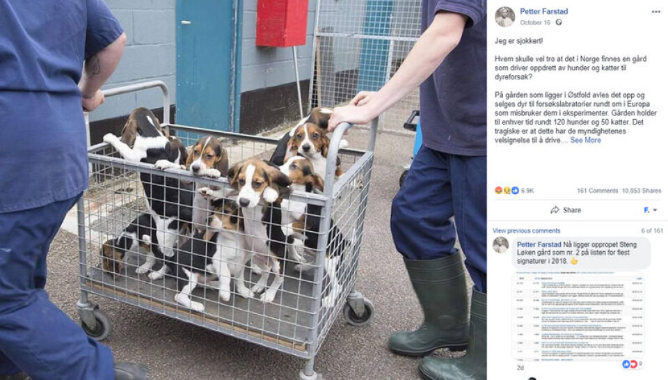 Foto: Skjermdump/Facebook
