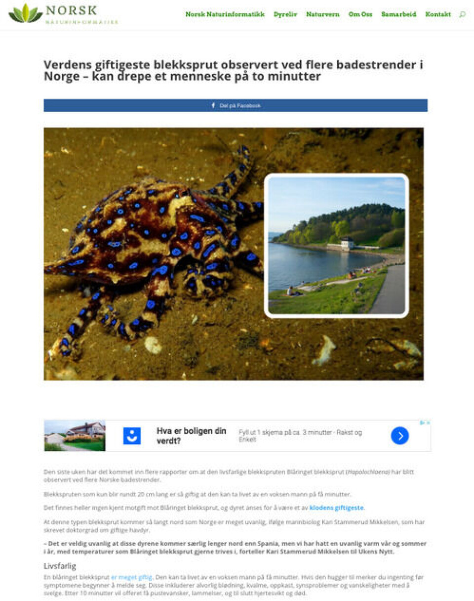 Slik ser saken fra «Norsk Narurinformatikk» ut. Skjermbilde: Norsknaturinformatikk.com Slik ser saken fra «Norsk Narurinformatikk» ut.