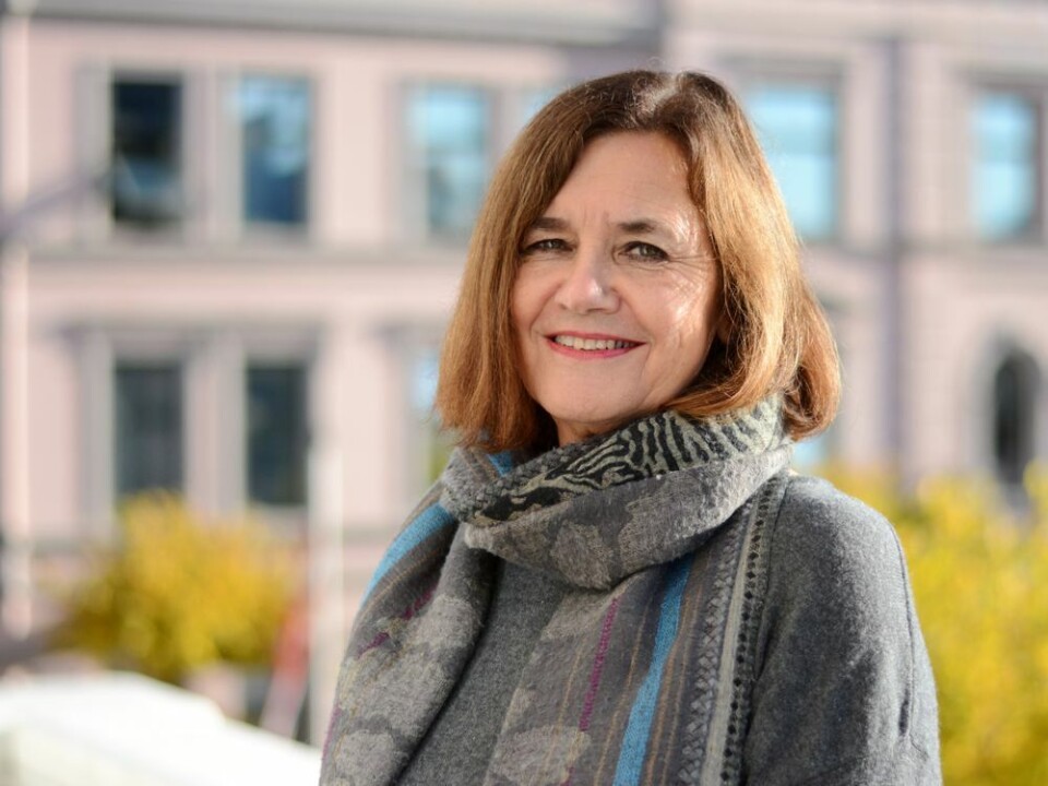Kommunalsjef for oppvekst i Skien kommune, Grete Gjelten. Foto: Skien kommune. Kommunalsjef for oppvekst i Skien kommune, Grete Gjelten.