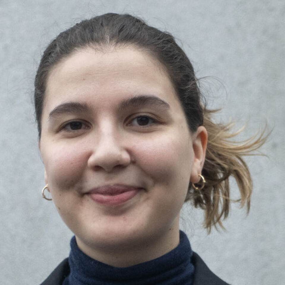 Rim Hjelde Elmofty