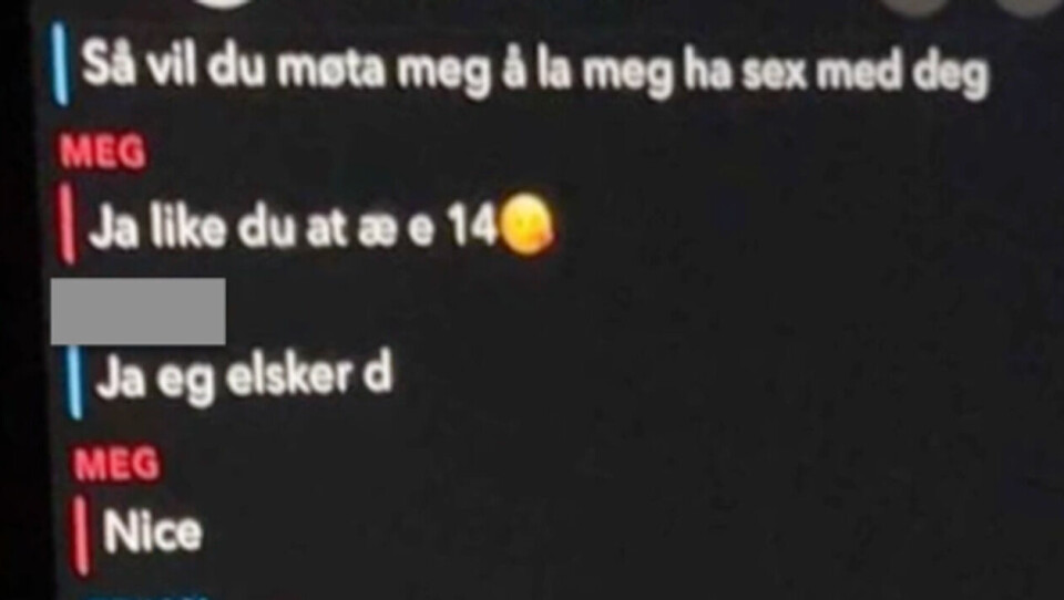De fleste chatsamtalene som vises i videoene gir inntrykk av å være mellom menn og jenter eller gutter på 14 eller 15 år. I enkelte chatsamtaler skrives det at den mindreårige er 12 år eller 13 år. Foto: Skjermdump fra video