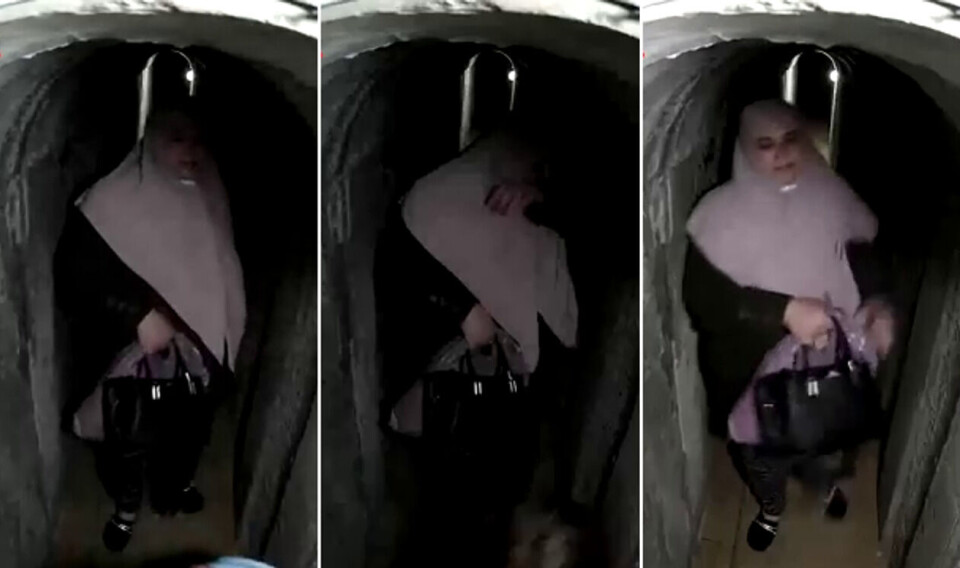 Skjermdumper fra videoen. Kilde: IDF