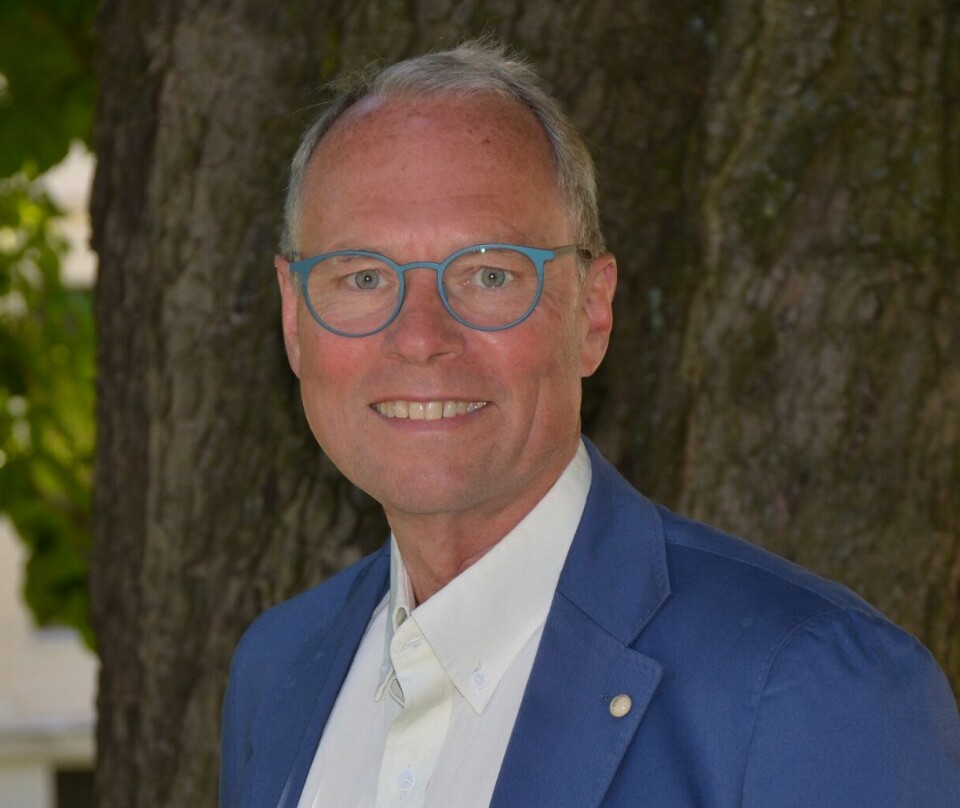 Hans Petter Graver er professor ved Institutt for privatrett, Det juridiske fakultet, UiO.
