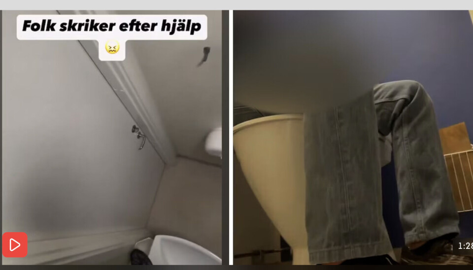 I det svenske videoklippet kunne man mellom lyden av skudd, høre en person rope flere ord. Å verifisere hva som blir sagt bør gjøres grundig og metodisk, mener fagansvarlig for verifisering i Faktisk.no. Skjermdump: TV4