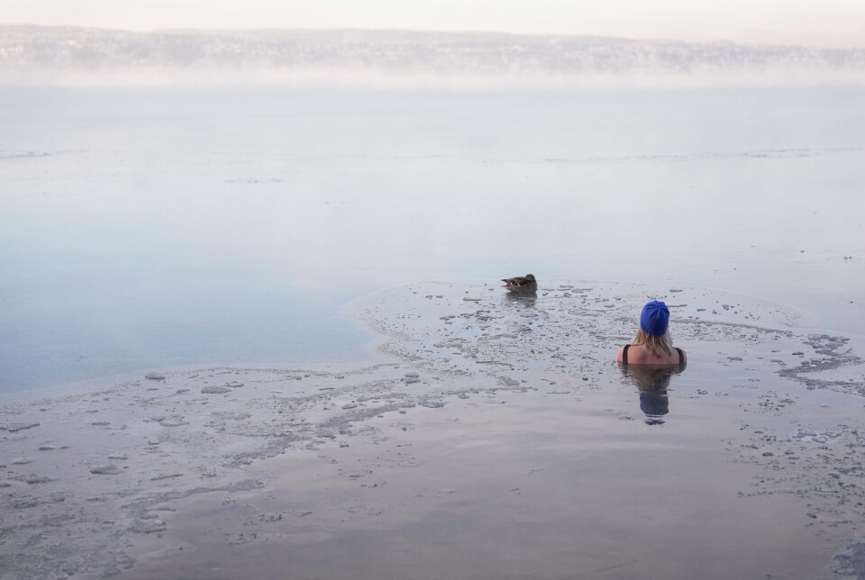 Dette bildet er tatt i januar i fjor i Hvervenbukta i Oslo. Temperaturen skal ha vært rundt 20 minusgrader i lufta.