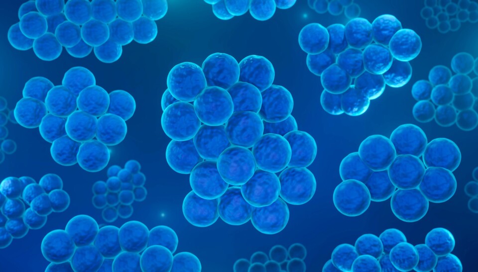 Norsk Facebook-post om korona gikk viralt – men påstanden er feil