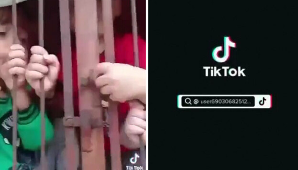 Nei, disse videoene viser ikke kidnappede israelske barn