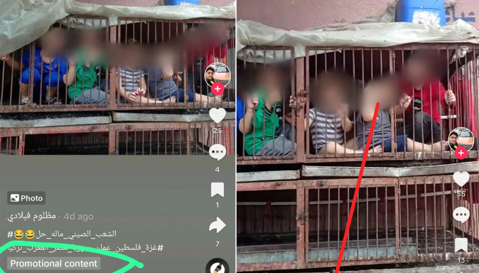 Nei, disse videoene viser ikke kidnappede israelske barn