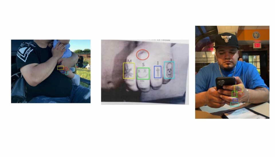 Bildet i midten viser knoken som Trump la ut, de andre bildene viser Kilmar Ábrego García ved tidligere anledninger.