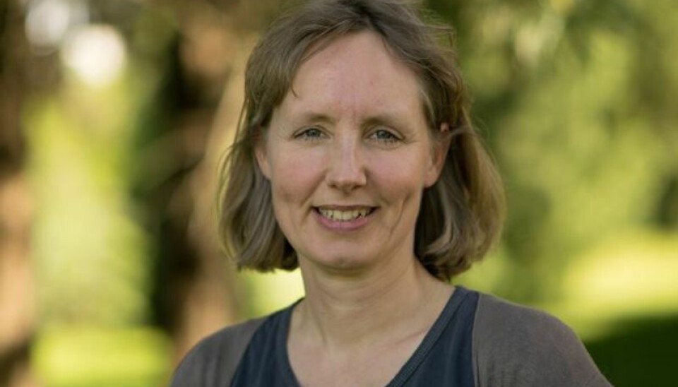 Årsnedbøren i 2021 var ti prosent lavere enn normalt. Det har også vært uvanlig tørt i den sørøstlige delen av Norge de siste åtte månedene, ifølge forsker Hanne Heiberg ved Meteorologisk institutt.