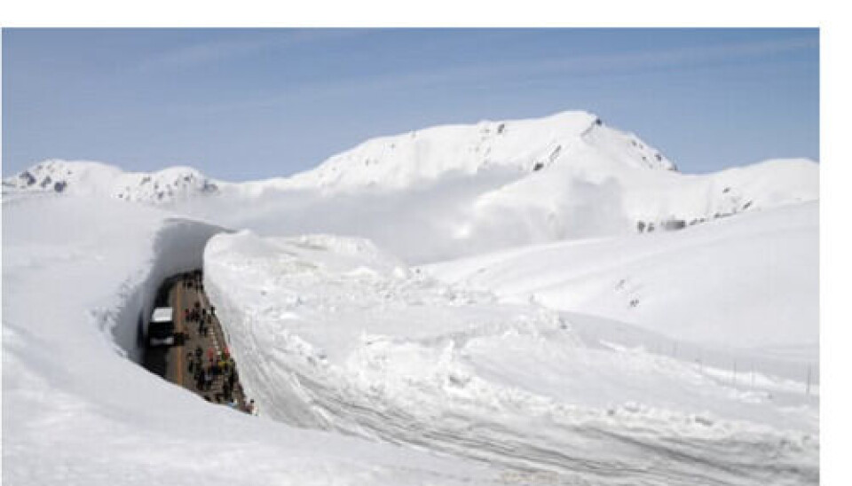 Snøbilde er fra Japan, ikke Norge